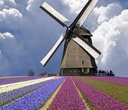 Экскурсионные и событийные туры