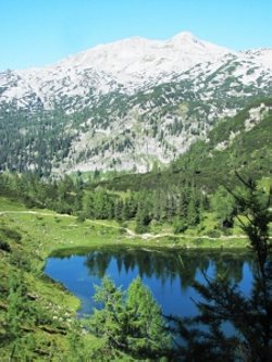 туры в австрию